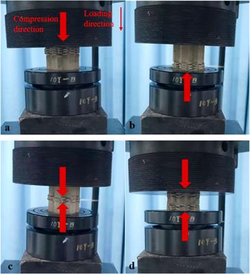 Impact Dynamic Behavior and Deformation Mode of a Lightweight-Coated Honeycomb Steel Structure